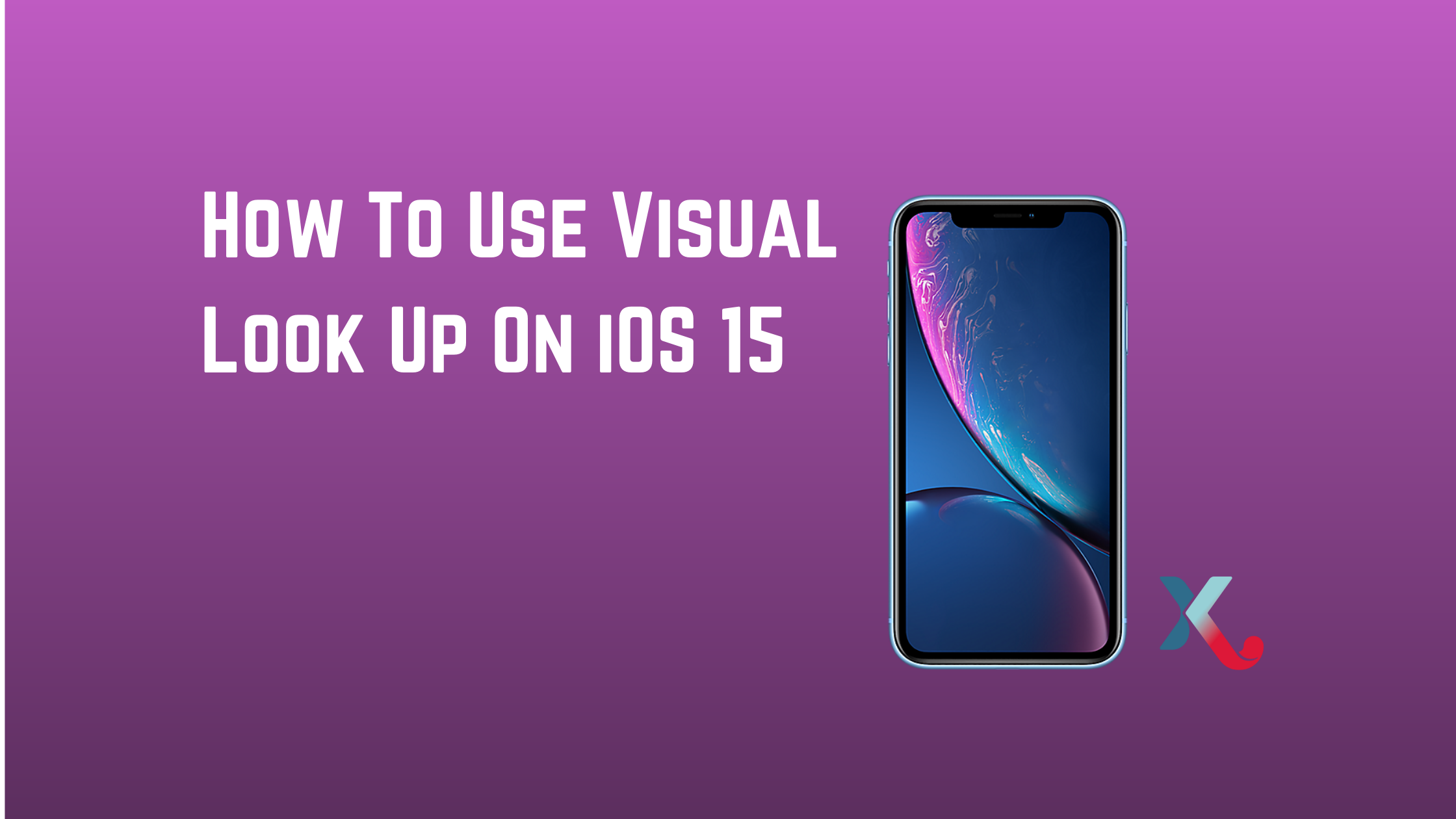 How To Use Visual Look Up On iOS 15